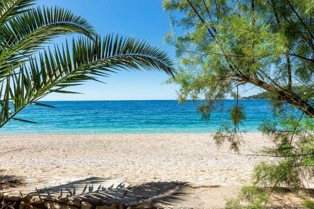 Potam'sea Bliss 36- Front, Sun Beds & Parking Himare